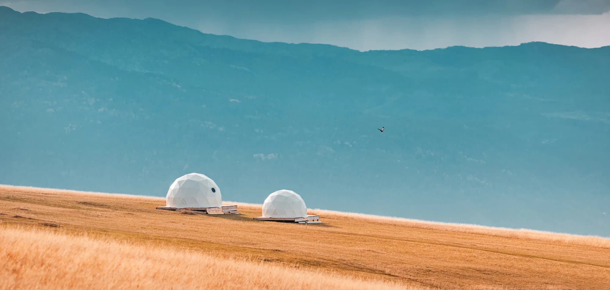 Two geodesic dome homes on open land beneath the mountains